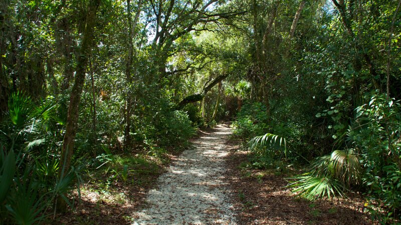 Gulf Breeze: Naval Live Oaks Trails to Explore This Winter Photo